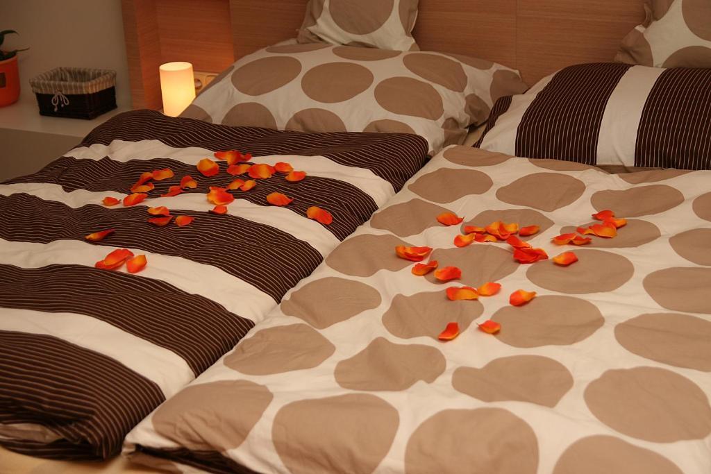 Penzion A Relax Centrum Andelka Hanusovice Номер фото